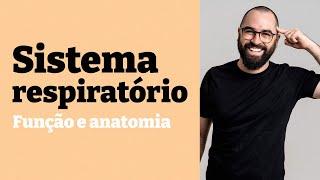 Sistema Respiratório: Função e anatomia - Aula 21 - Módulo 7 - Fisiologia Humana - Prof. Guilherme