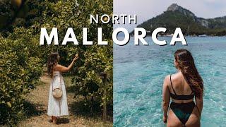 EXPLORING NORTHERN MALLORCA // Incredible beaches and orange farms