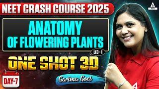 Anatomy of Flowering Plants Class 11 One Shot (L-1) | NEET Crash Course 2025 | Garima Goel