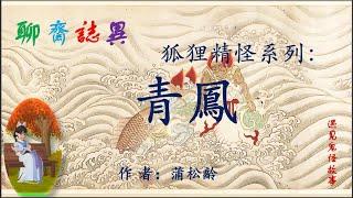 【聊齋誌異】青凤（白話文版）|志怪故事|民間傳說|助眠故事