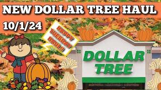 Check Out My Latest Dollar Tree Finds: Haul 10/1/24!