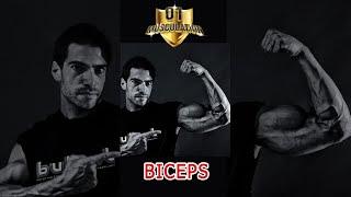 Muscler les Biceps: Curls en concentration