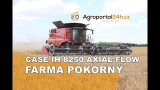 Na rodinné Farmě Pokorný nově sklízí úrodu kombajn Case IH 8250 Axial-Flow s adaptérem MacDon FD235