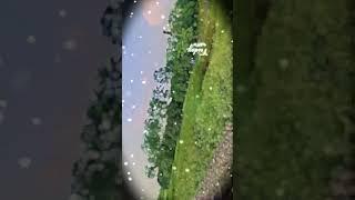 dost ka faida pohocha ne kakosis kar