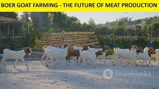 Boer Goat Farming - The Future of Meat Production.