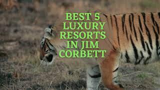 Top 5 Luxury Resorts in Jim Corbett | 5 Star Resorts in Jim Corbett | Luxury Resorts in Jim Corbett