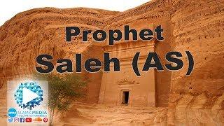 The Story of the Prophet Saleh (AS) by Sheikh Shady Alsuleiman