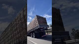 Why Are Brazilian Trucks Built So High? #shorts