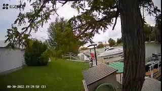 Bayfield Marina Live Stream