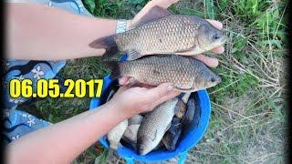 Крупный карась на удочку и фидер(полное ведро13л)