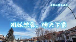 加拿大移民生活难以想象卡尔加里这样的天气明天就下雪了