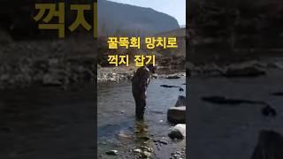 길안천 꿀뚝회 망치로 꺽지 잡기