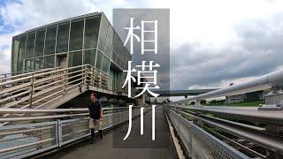 神奈川県相模川を河口から遡って歩く！Vol．②