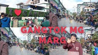 | Gangtok-Sikkim-MG Marg Travling vlog #Nizu official.