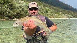 Soča rainbow trouts - beautiful fish