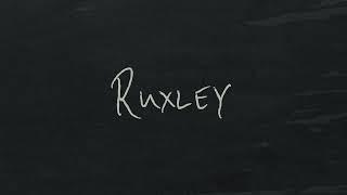 Ruxley - this song should not exist (Official Lyric Video)