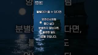 달빛 마저 줄수 있다면 - 진우스님의 선명상 이야기  #진우스님 #선명상 #개미의 발소리