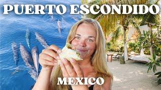 Puerto Escondido Mexico Travel Vlog | Dolphin tour, beaches & restaurants 