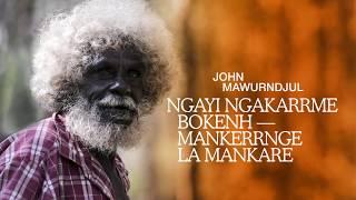 John Mawurndjul Exhibition - video trailer