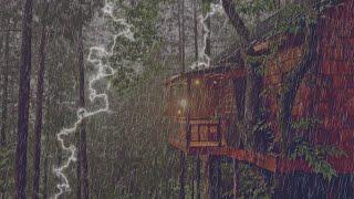 Thunder and Rain Sounds for Deep Sleep | Cozy Warmth in a Forest Treehouse