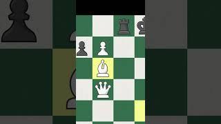 2 QUEENS? | Chess Memes #shorts #chess #chessmemes