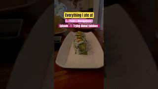 Episode 1 : Trying Global Cuisines | What i Ate at a Japanese Restaurant | Yuki | Bangalore