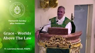 Grace - Worlds Above The Law - Sermon by Fr Novak (18 Aug 2024)