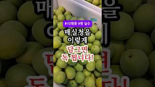 매실청 잘못 담그면 독 됩니다! 90%가 저지르는 치명적 실수 #건강 #건강정보