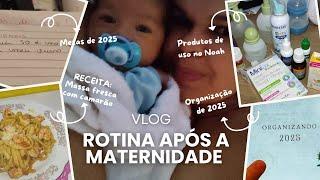 Vlog: Minha Rotina depois que virei mãe •  Receitinha • Organizando minha vida pós gestação