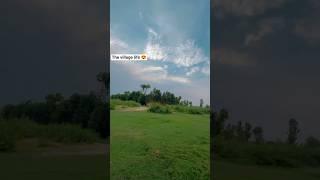 the village life|abduvlog Abdullah Mini vlog #viral #viralvideo #viralshorts #viralshort