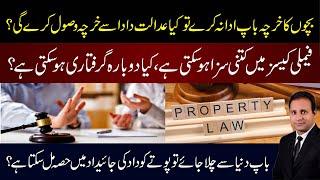 Family Law in Pakistan: Child Support, Inheritance & Legal Punishments Explained!