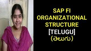 SAP FI ORGANIZATIONAL STRUCTURE IN TELUGU | SAP TELUGU TUTORIALS | SAP TELUGU