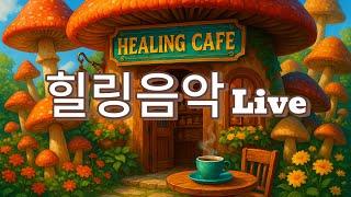 (그냥 틀어 놓는 Live) 25.06.20 버섯 힐링카페에서의 평화로운 아침  | Cozy Morning in a Mushroom Café  #힐링브금 #감성브금