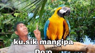 Do.o kusik mangipa //(garo mix golpo)