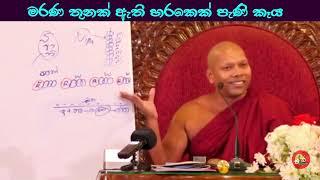 මරණ තුනක් ඇති හරකෙක් පැණි කෑය#ven.Hadapangoda Niwathapa thero#dharmayai obai#pahura #bana #buddha