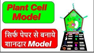 Plant Cell model making using cardboard | biology project | diy science project | bio project
