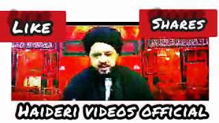 Moulana Nasir Hussain Zaidi | Haideri Videos official | New majlis 2019-20