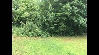 194 Cotton Cross Drive Lexington, NC 27292 - Land - Real Estate - For Sale