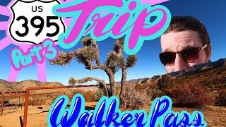 Camping Highway 395 | Part 3 | Walker Pass