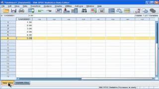 Basic Introduction to SPSS (part 1)