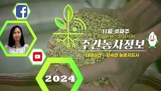 [ 주간농사정보 ] 11월 셋째주 (2024. 11. 18. ~ 11. 24.)