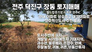 [No.2571] 전주 덕진구 장동 토지매매 전주월드컵경기장, 수목원 도보10분,전주IC 5km,﻿ 대장아파트혁신도시인근 ﻿토지 전 2,070평﻿ (6,842㎡)﻿. 자연녹지