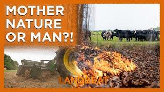 Mother Nature Or Man?? Who Does it Better?! | Habitat Management