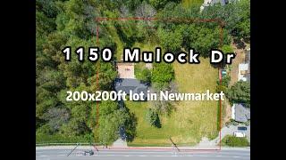 1150 Mulock dr in New market, investors constructors attention!!!