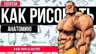 КАК Легче ВЫУЧИТЬ АНАТОМИЮ Художнику // Анатомия для художников // Как  рисовать