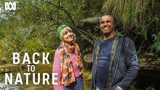 The health benefits of nature | Back To Nature