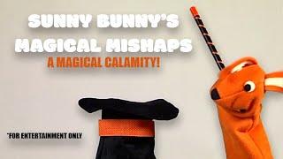 Sunny Bunny's Magical Mishaps