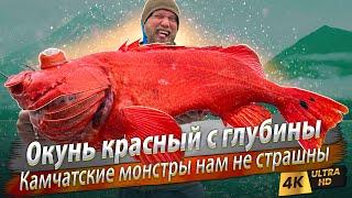  Все виды морских рыб Камчатки за два дня! Где ловить и как поймать?