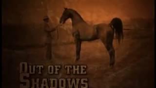 Out of The Shadows: Bringing to Light Black Horsemen in Saddlebred History