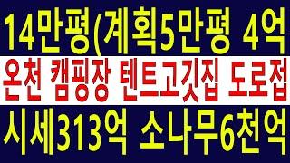 온천공포함 14만평 초대형캠핑장 텐트고깃집(운영쉽고매출대박) 임야 전 답 계획관리5만평+보전관리1452평 시세313억 소나무조경수6천억[땅과함께]경매임야,매임야,6차산업,캠핑교회